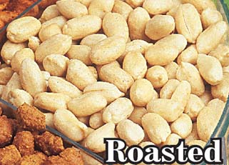 Roasted Peanuts